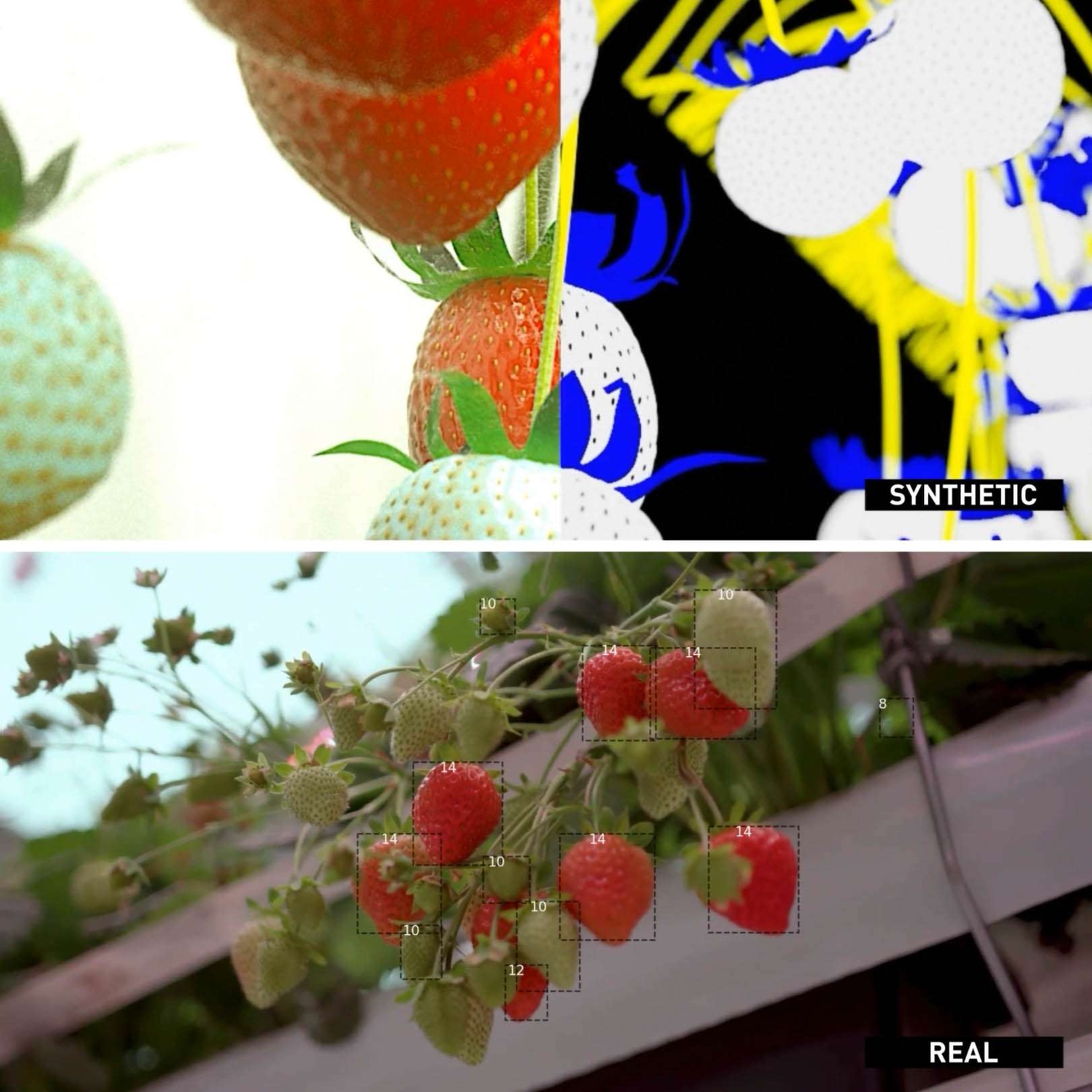 Content_synthetic data