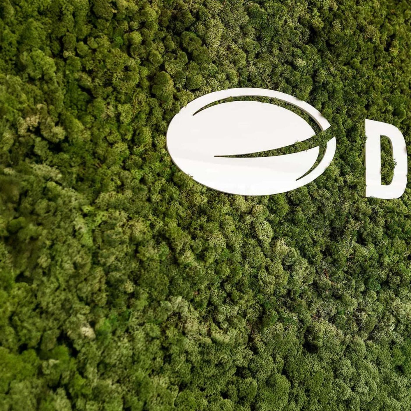 Demcon logo on moss background