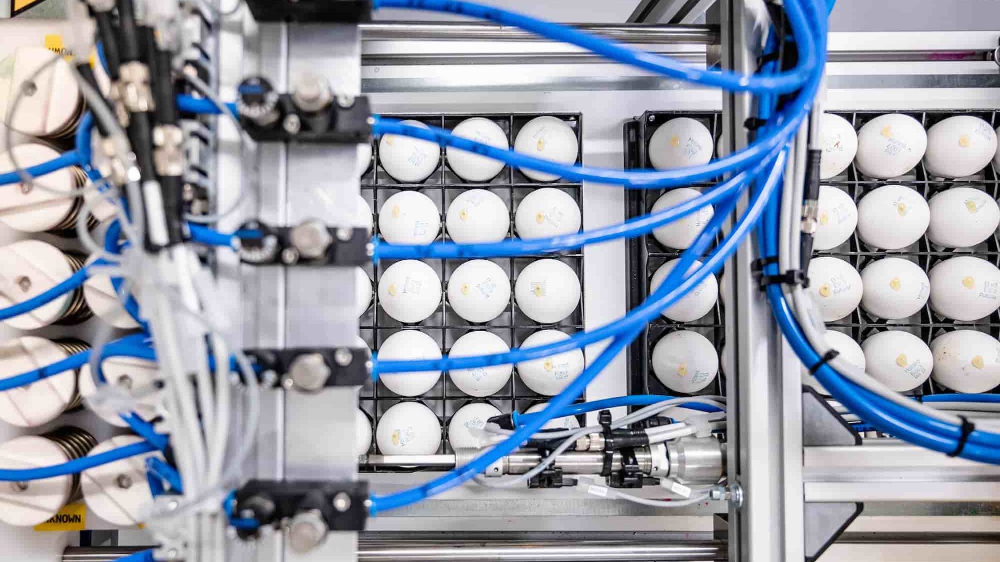 In Ovo - Ella sampled eggs