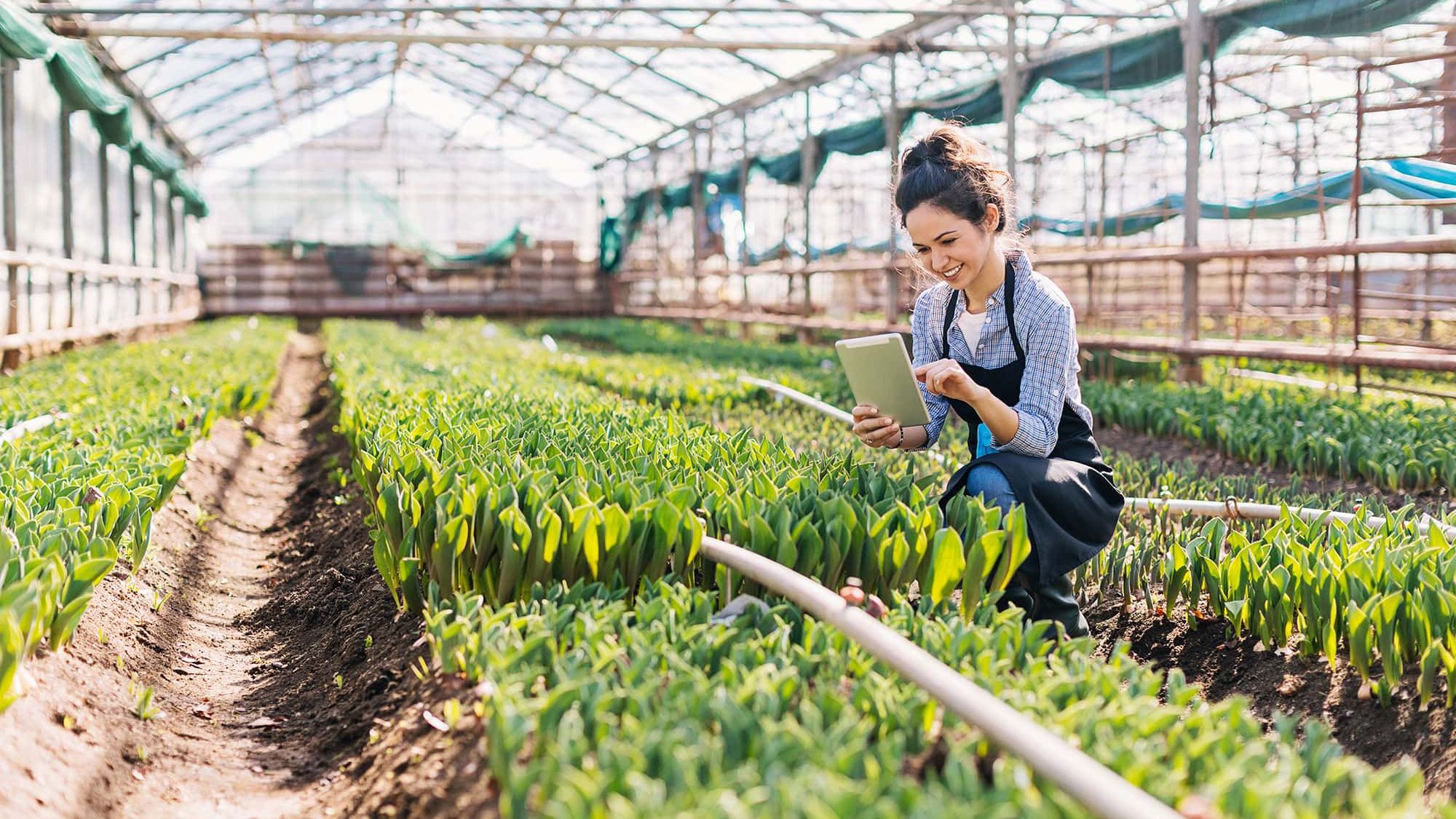 working-in-agri