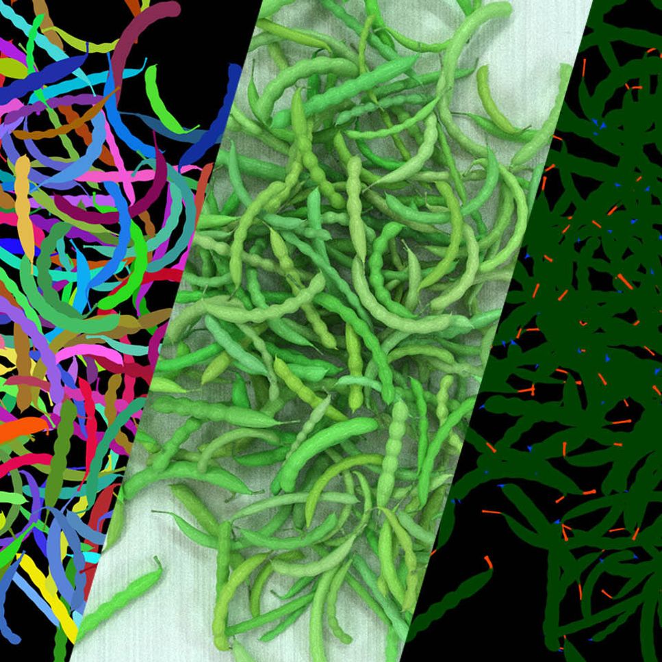 Banner-synthetic-data-food