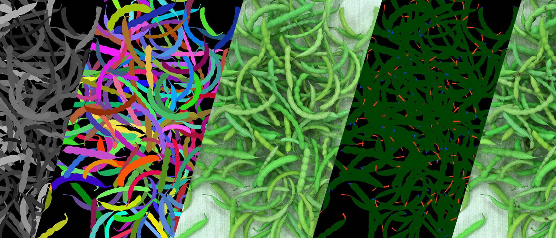 Banner volgende stap