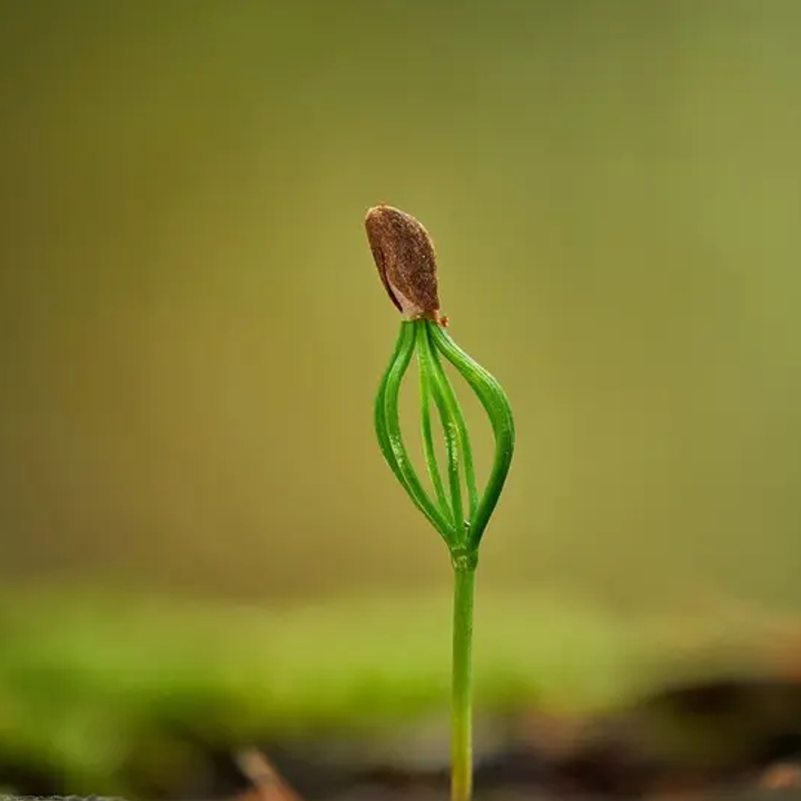 Gravity_Gardens_684c55e8e1