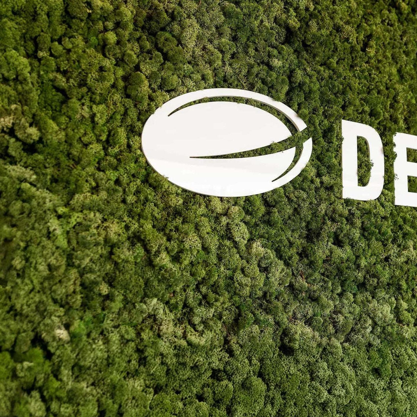 Demcon logo on moss background