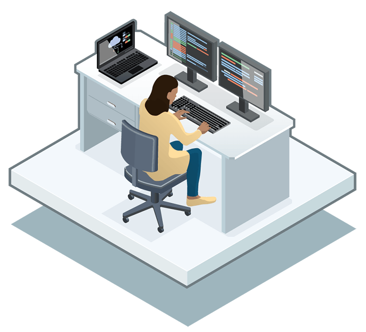 software expertise